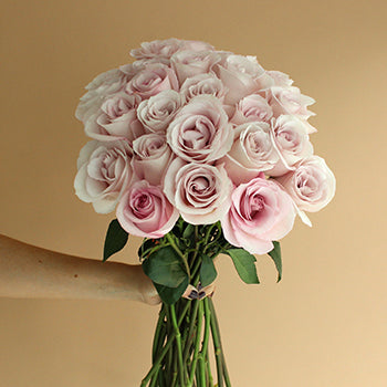Secret Blush Garden Wholesale Rose Bunch in a hand