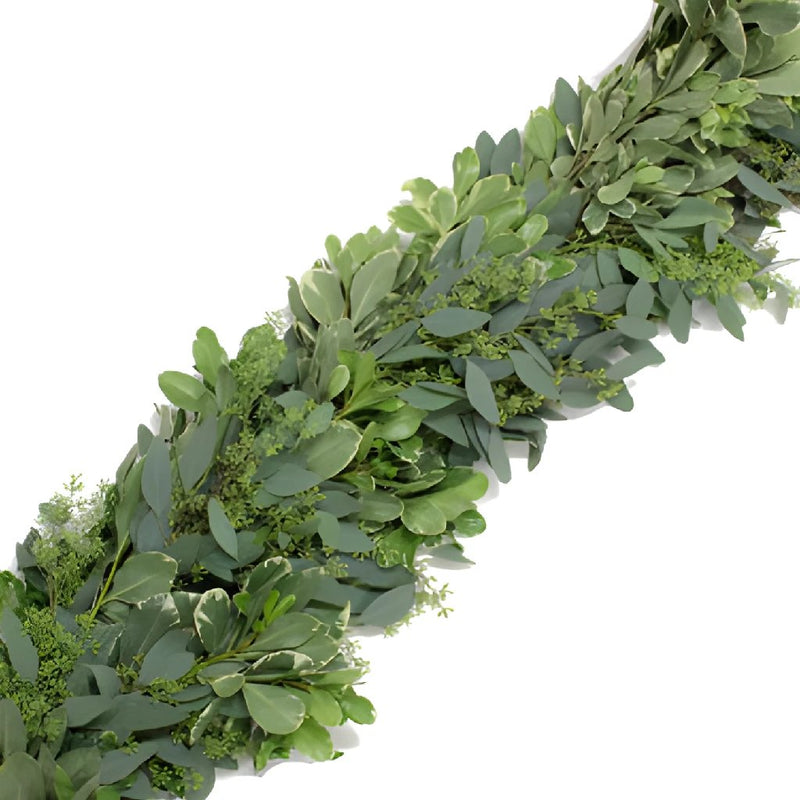 Eucalyptus and Pittosporum Garland Online