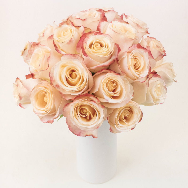 Sevilla Peach Roses in a Vase