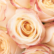 Ready To Go Wholesale Centerpieces Card