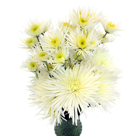 Wicked White Wedding Flower Pack