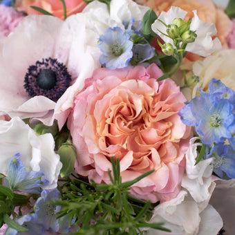 Sugar Plum DIY Flower Kit