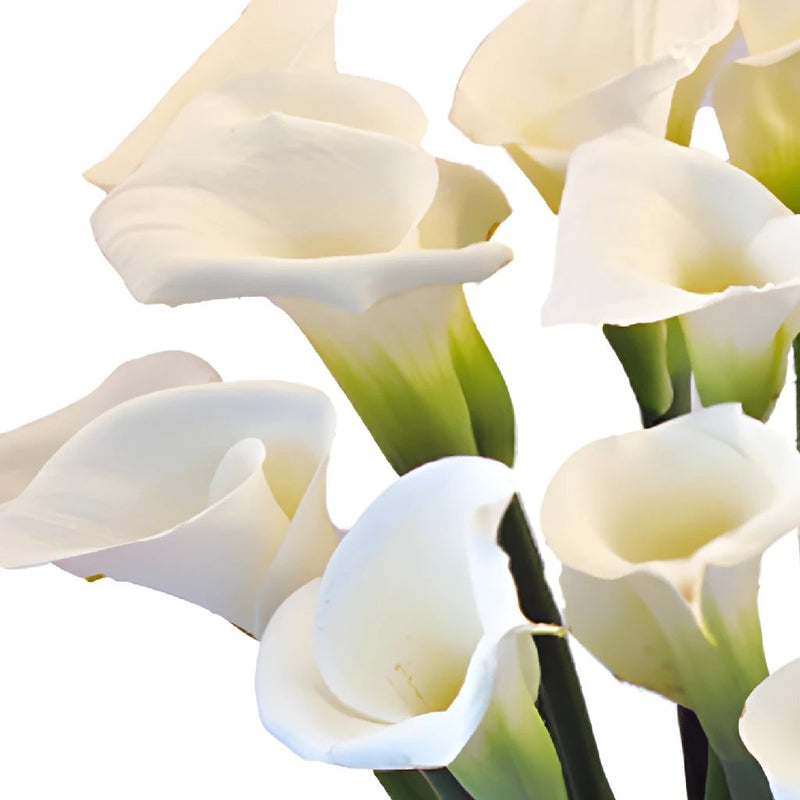 Calla Lily Flower Arrangement