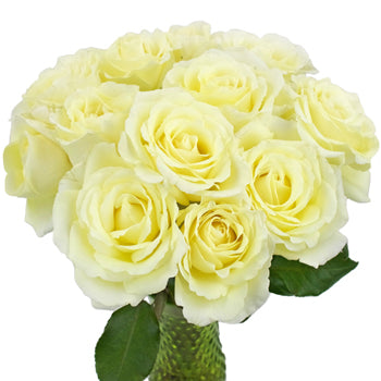 Vitality Ivory Wholesale Garden Roses In a vase