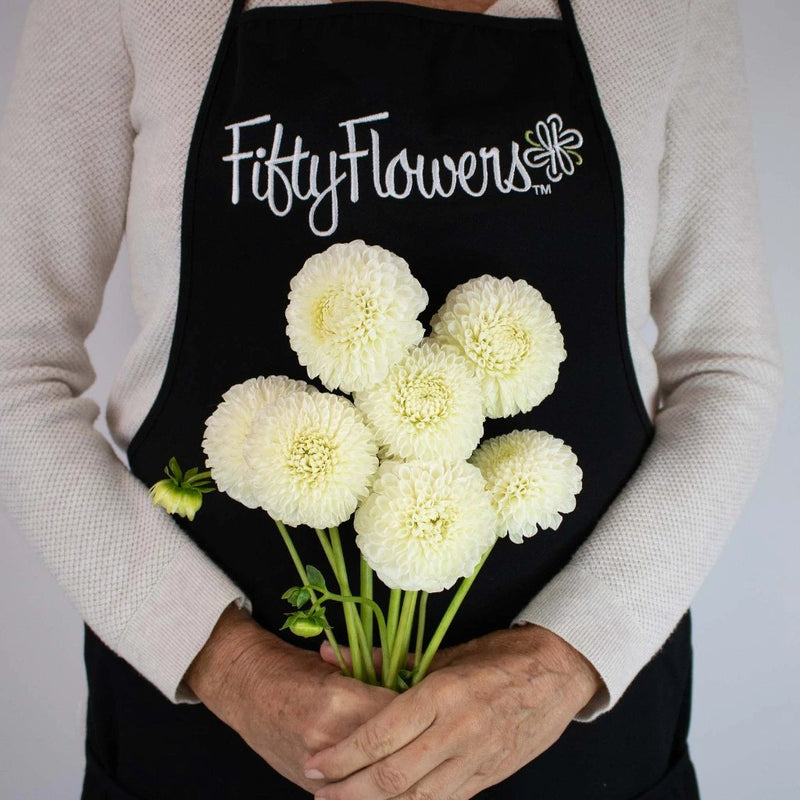 White Ball Dahlia Flower Bunch in Hand