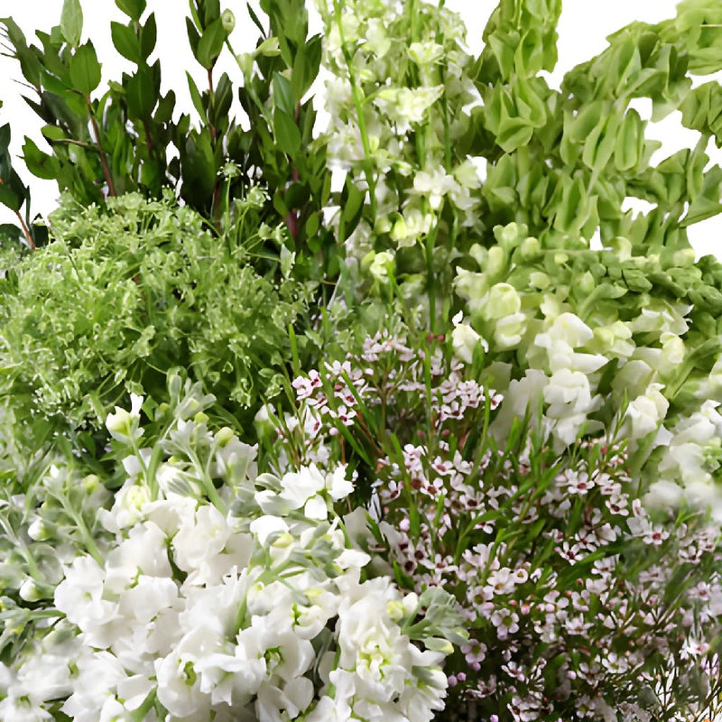 White Bliss Combo DIY Flower Kit Up Close