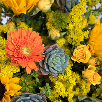 Wild at Heart Wildflower Succulent Centerpiece