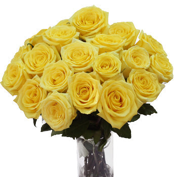 Yellow Stardust Wholesale Roses in a Vase
