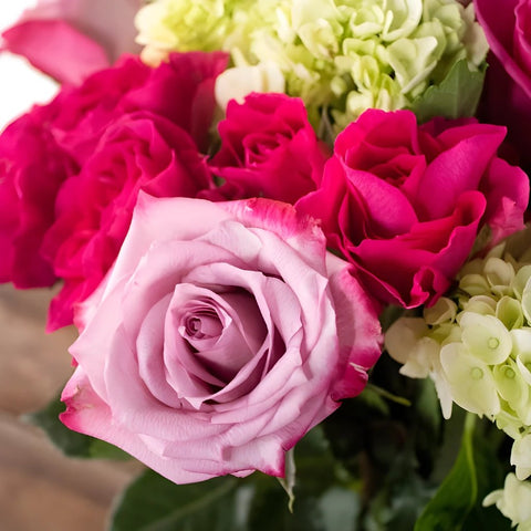 Young Love Hot Pink Rose Bouquet Arrangements