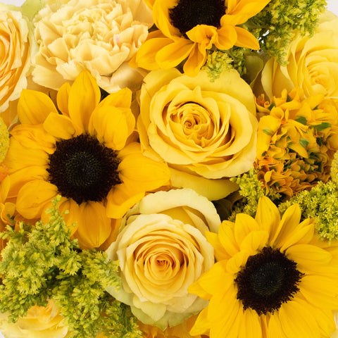 Zazibar Yellow Flower Kit in Hand